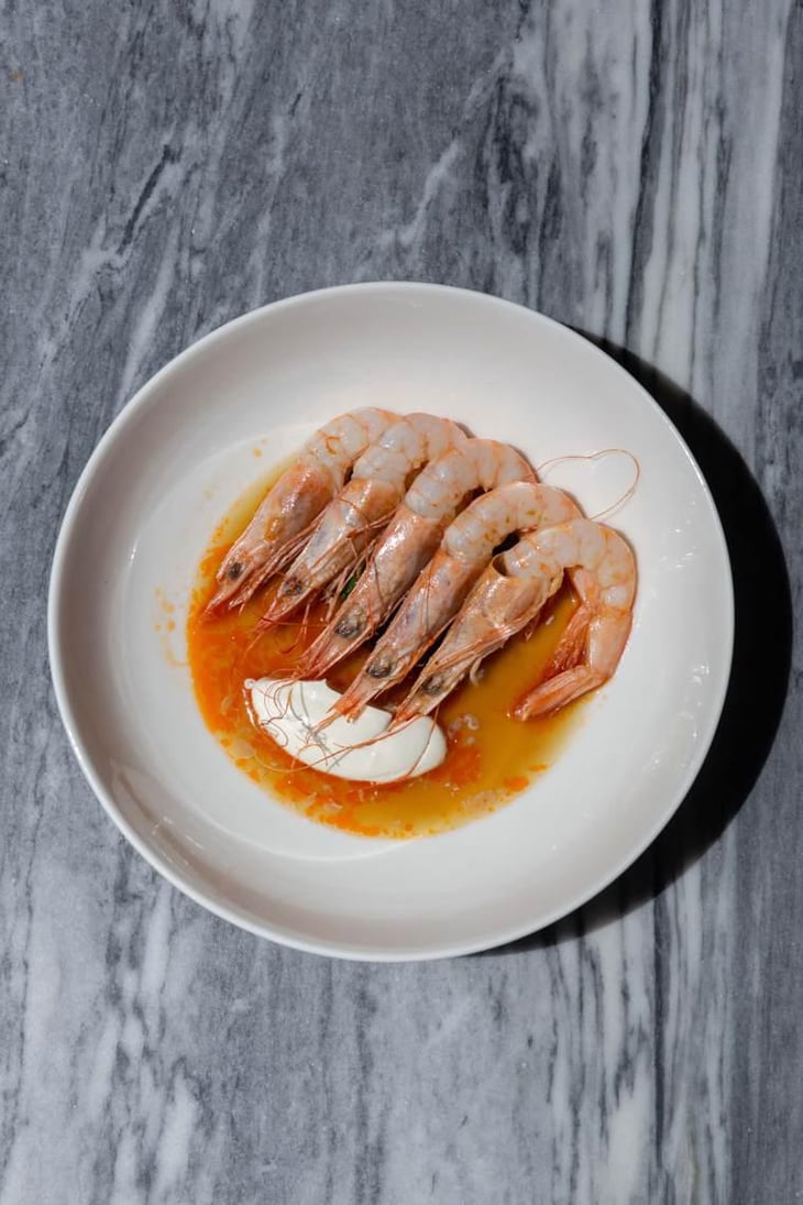Shrimps - GOTA - 483565