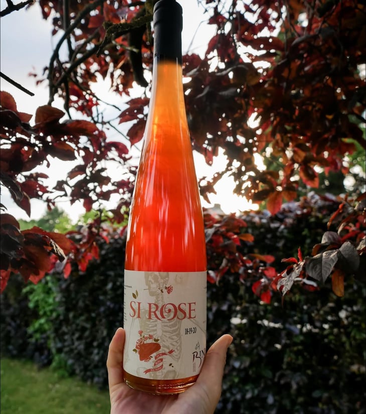 Si Rose - Domaine Christian Binner - Christian Binner et son équipe 