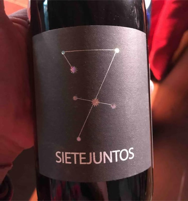Sietejuntos Syrah - MicroBioWines - Ismael Gozalo 