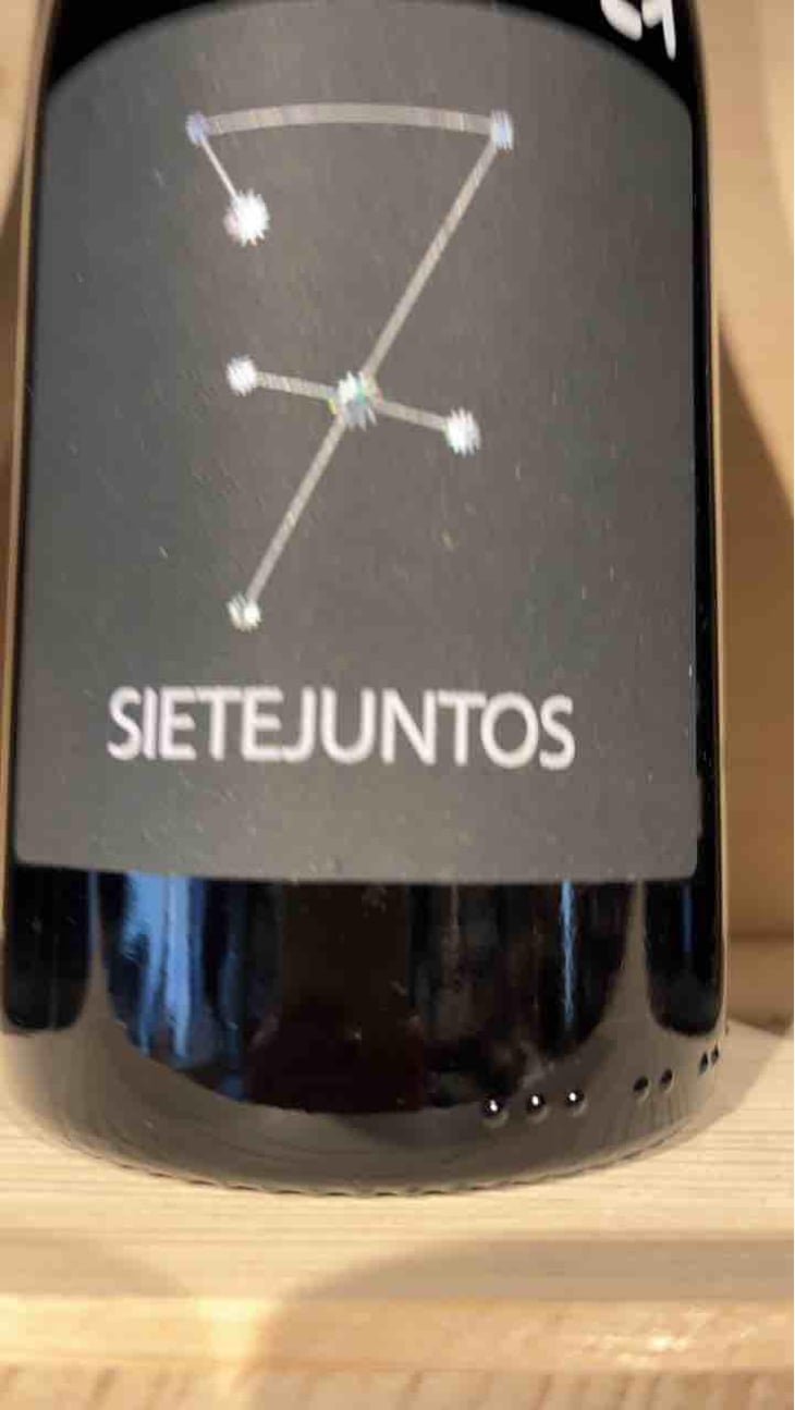 Sietejuntos Tempranillo - MicroBioWines - Ismael Gozalo 