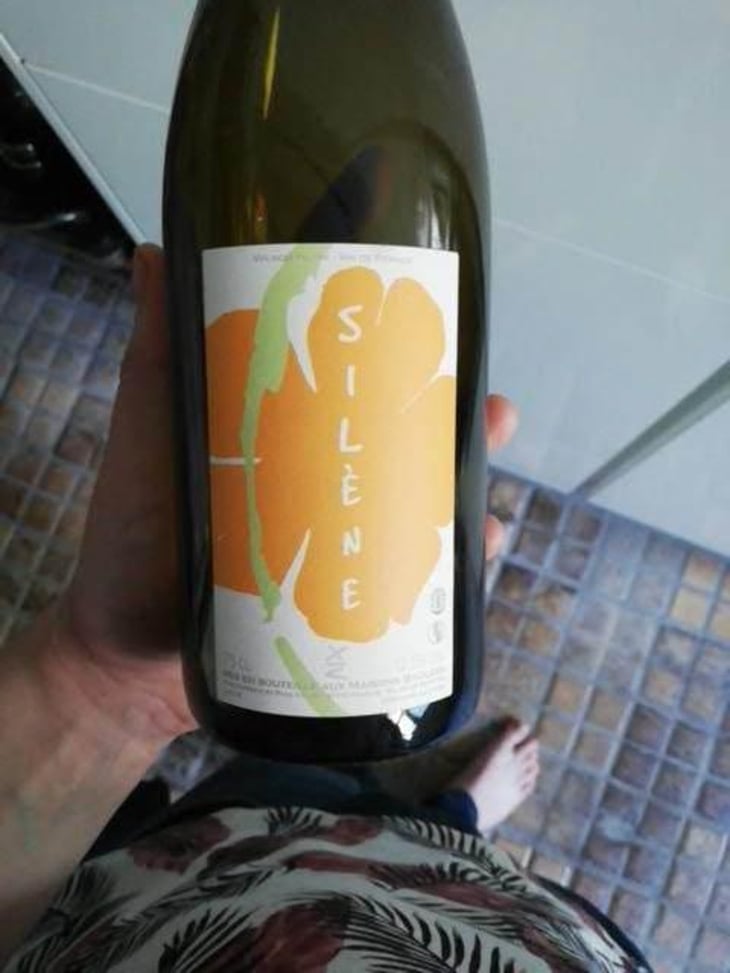 Silène - Domaine des Maisons Brûlées - Corinne & Paul Gillet 