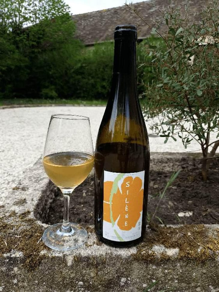 Silène - Domaine des Maisons Brûlées - Corinne & Paul Gillet 