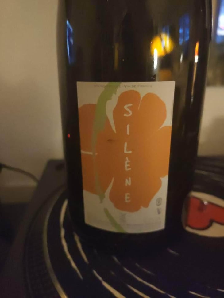 Silène - Domaine des Maisons Brûlées - Corinne & Paul Gillet 