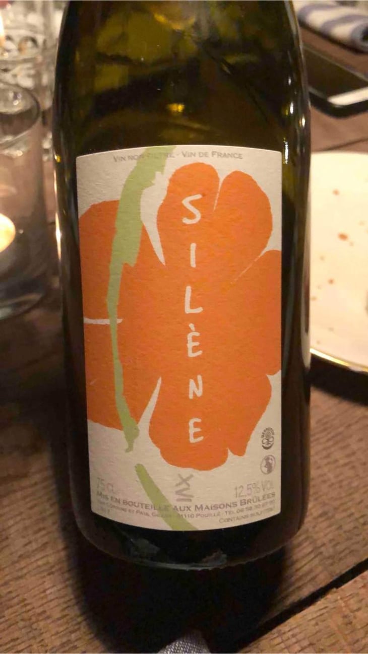 Silène - Domaine des Maisons Brûlées - Corinne & Paul Gillet 