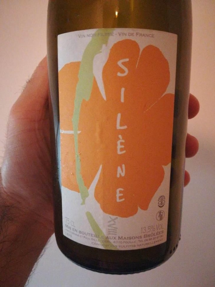 Silène - Domaine des Maisons Brûlées - Corinne & Paul Gillet 