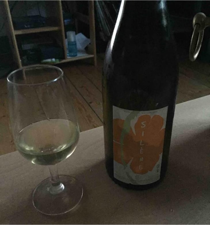 Silène - Domaine des Maisons Brûlées - Corinne & Paul Gillet 