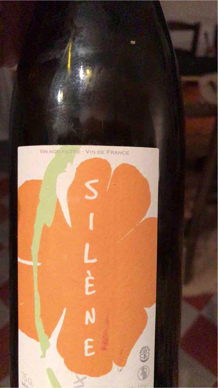 Silène - Domaine des Maisons Brûlées - Corinne & Paul Gillet 