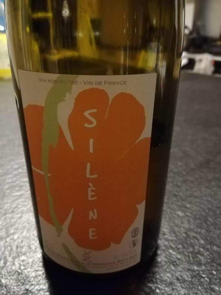 Silène - Domaine des Maisons Brûlées - Corinne & Paul Gillet 