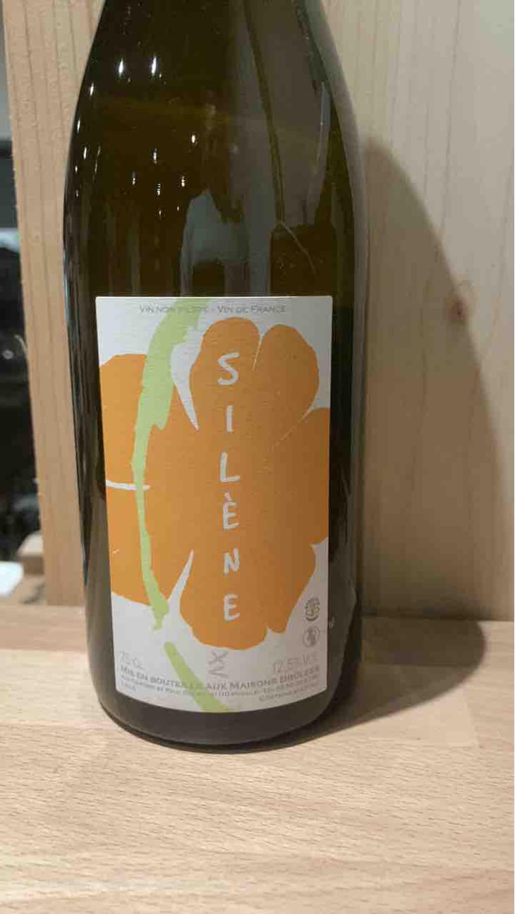 Silène - Domaine des Maisons Brûlées - Corinne & Paul Gillet 