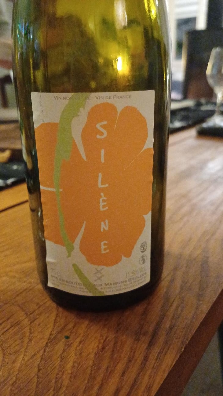 Silène - Domaine des Maisons Brûlées - Corinne & Paul Gillet 