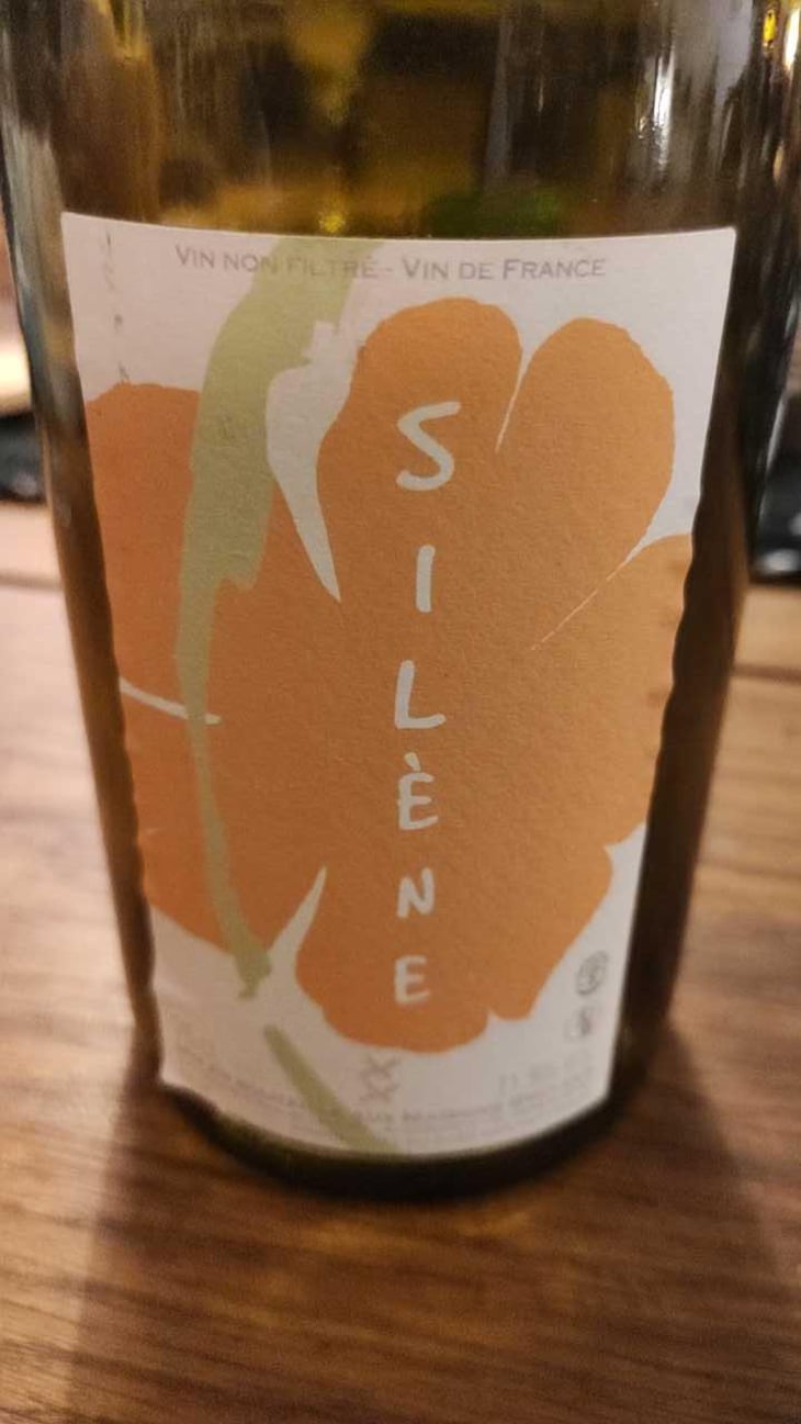 Silène - Domaine des Maisons Brûlées - Corinne & Paul Gillet 