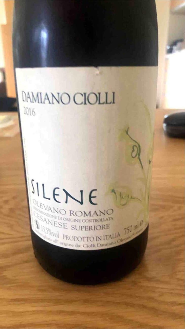 Silene - Damiano Ciolli - Damiano Ciolli 