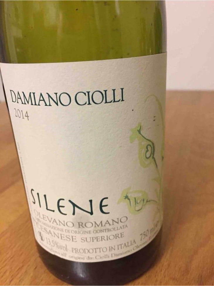 Silene - Damiano Ciolli - Damiano Ciolli 