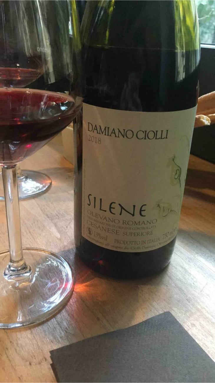 Silene - Damiano Ciolli - Damiano Ciolli 