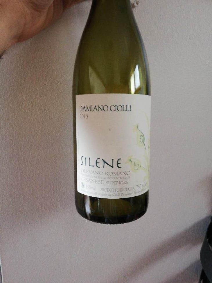 Silene - Damiano Ciolli - Damiano Ciolli 