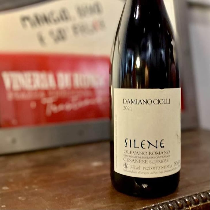Silene - Damiano Ciolli - Damiano Ciolli 
