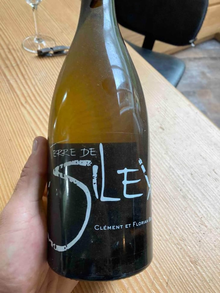 Silex - Vignoble Berthier - Clément Et Florian Berthier 