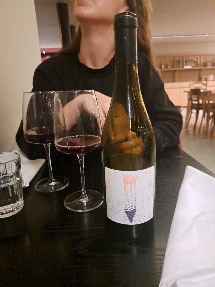 Silice Et Silence - Domaine du Petit Oratoire - Lori Haon 