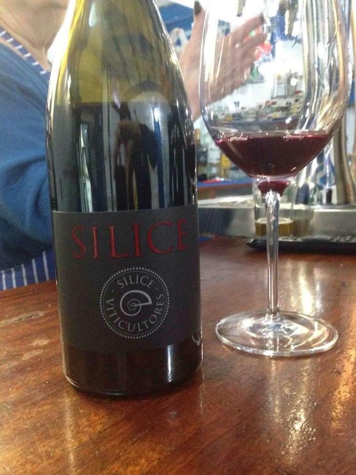 Silice - Sílice Viticultores - Carlos Rodriguez, Juan Rodríguez, Fredi Torres 