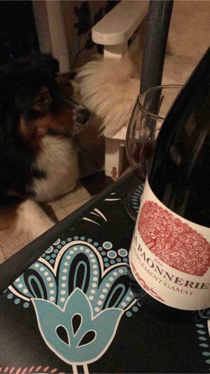 Simplement Gamay - La Paonnerie - Marie Carroget 