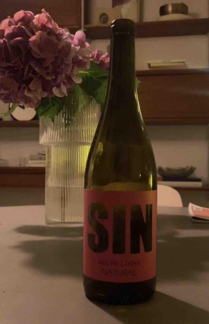 SIN Tinto - Els Vinyerons / Sin Project - Amós Bañeres Merinero & Alex Ruiz Masachs -2020
