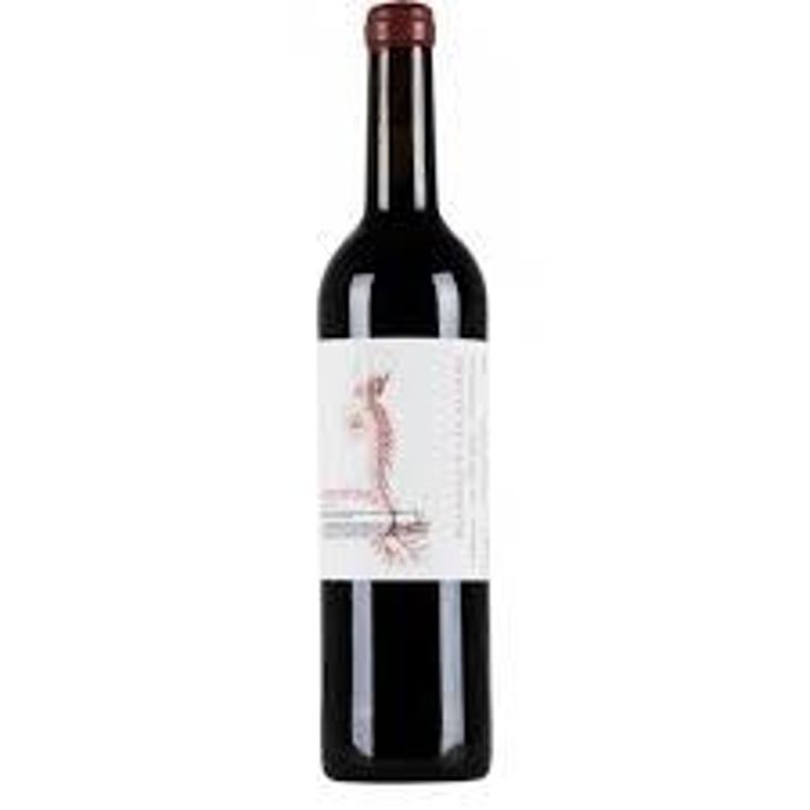 Sinestèsia - Celler Pinyolet Vinyaters - Josep Piñol 