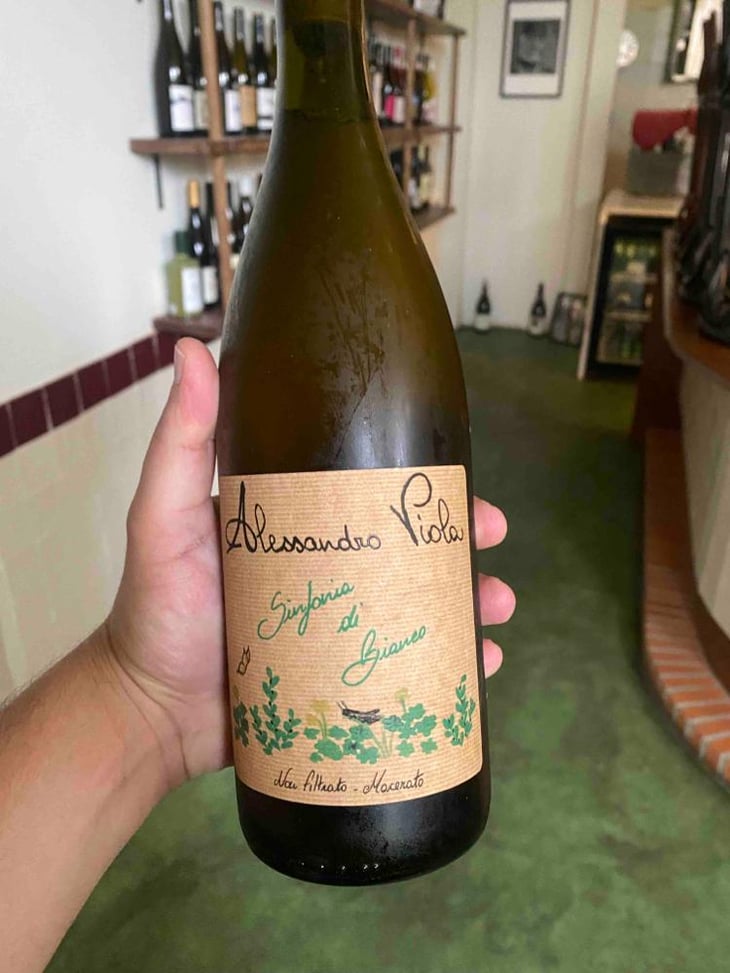 Sinfonia di Bianco - Azienda Agricola Alessandro Viola - Alessandro Viola 