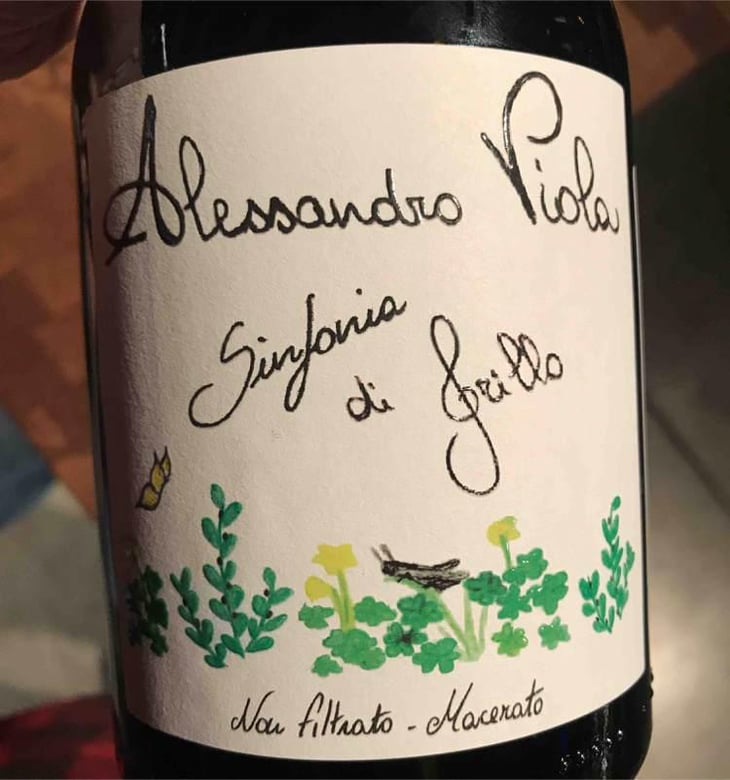 Sinfonia di Grillo - Azienda Agricola Alessandro Viola - Alessandro Viola 