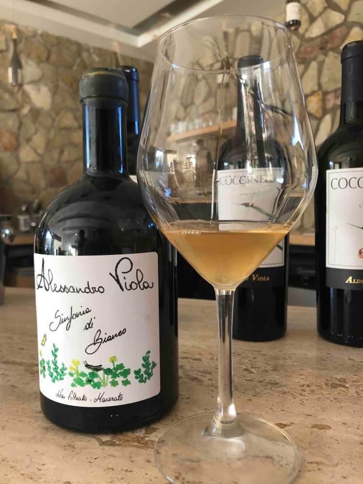 Sinfonia di Grillo - Azienda Agricola Alessandro Viola - Alessandro Viola 