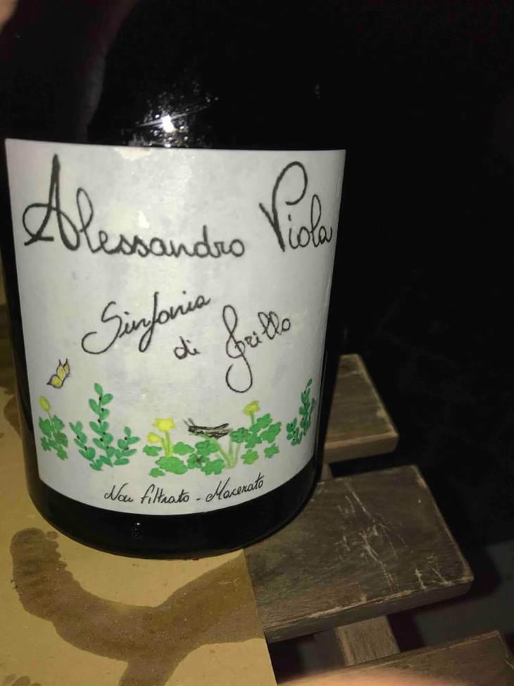 Sinfonia di Grillo - Azienda Agricola Alessandro Viola - Alessandro Viola 