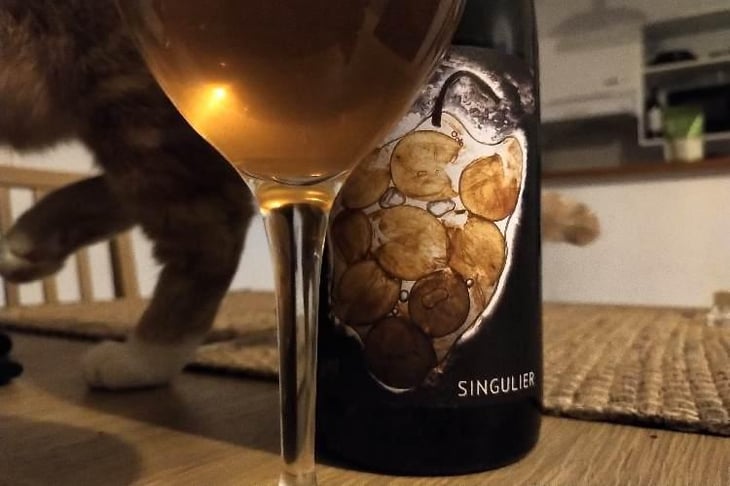 Singulier - Vignoble du Rêveur - Mathieu Deiss & Emmanuelle Milan 