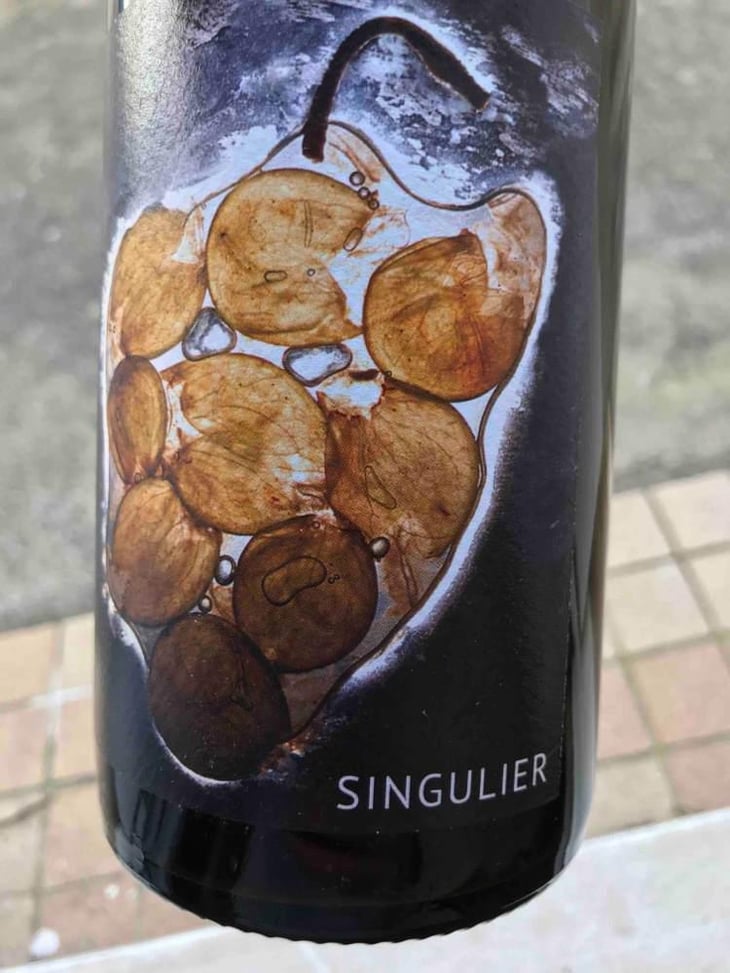 Singulier - Vignoble du Rêveur - Mathieu Deiss & Emmanuelle Milan 