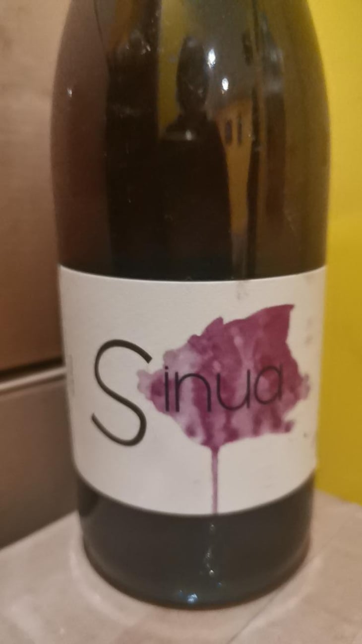 Sinua - Domaine Régnier-David - Jean-Francois Régnier -2021