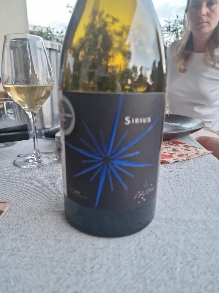 Sirius A - Domaine des Célestes - Julien Sefraoui Nowak -2021