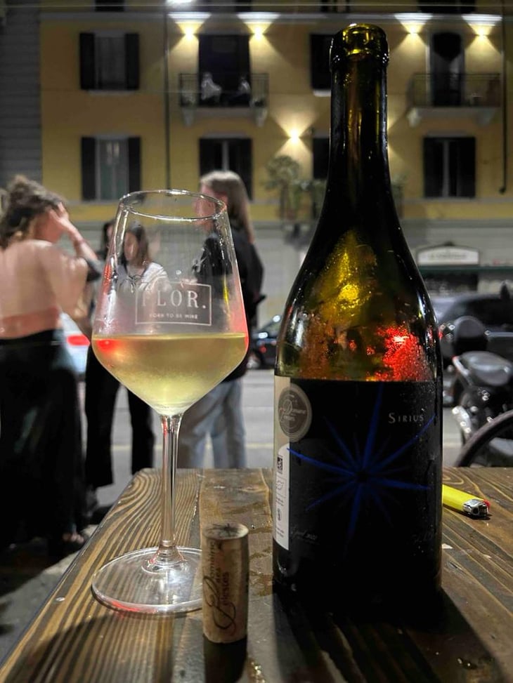 Sirius A - Domaine des Célestes - Julien Sefraoui Nowak -2021