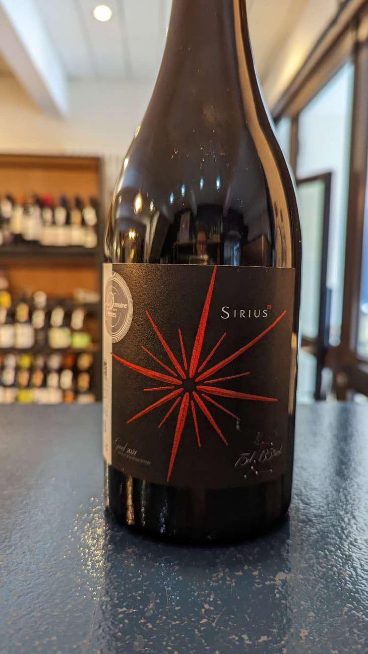 Sirius B - Domaine des Célestes - Julien Sefraoui Nowak -2021
