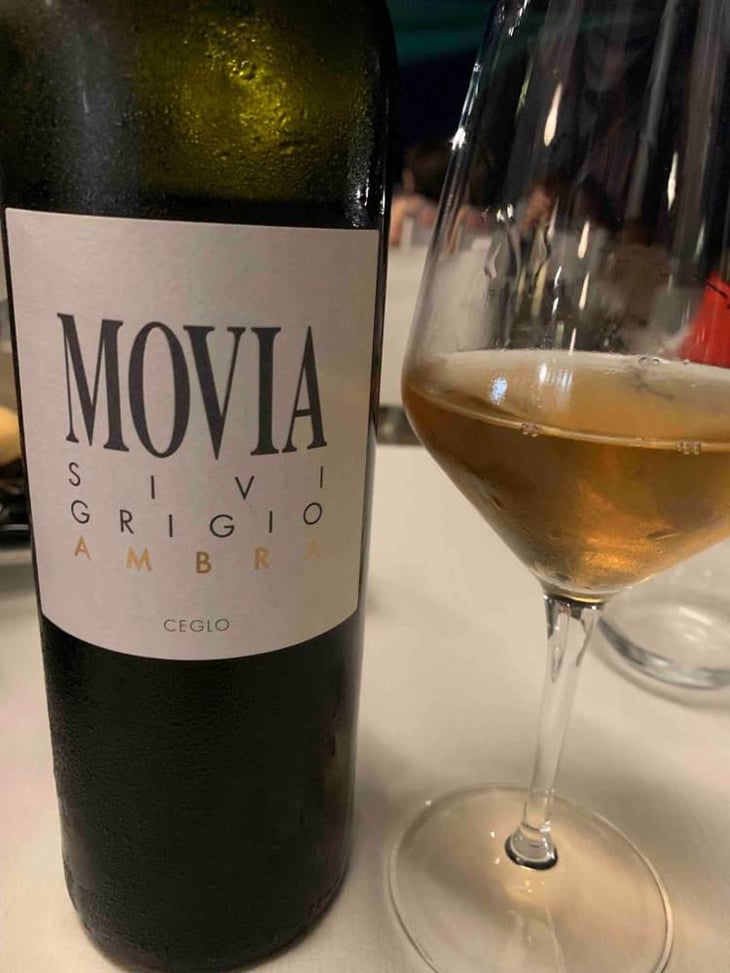 Sivi Grigio Ambra - Movia - Aleš Kristančič 