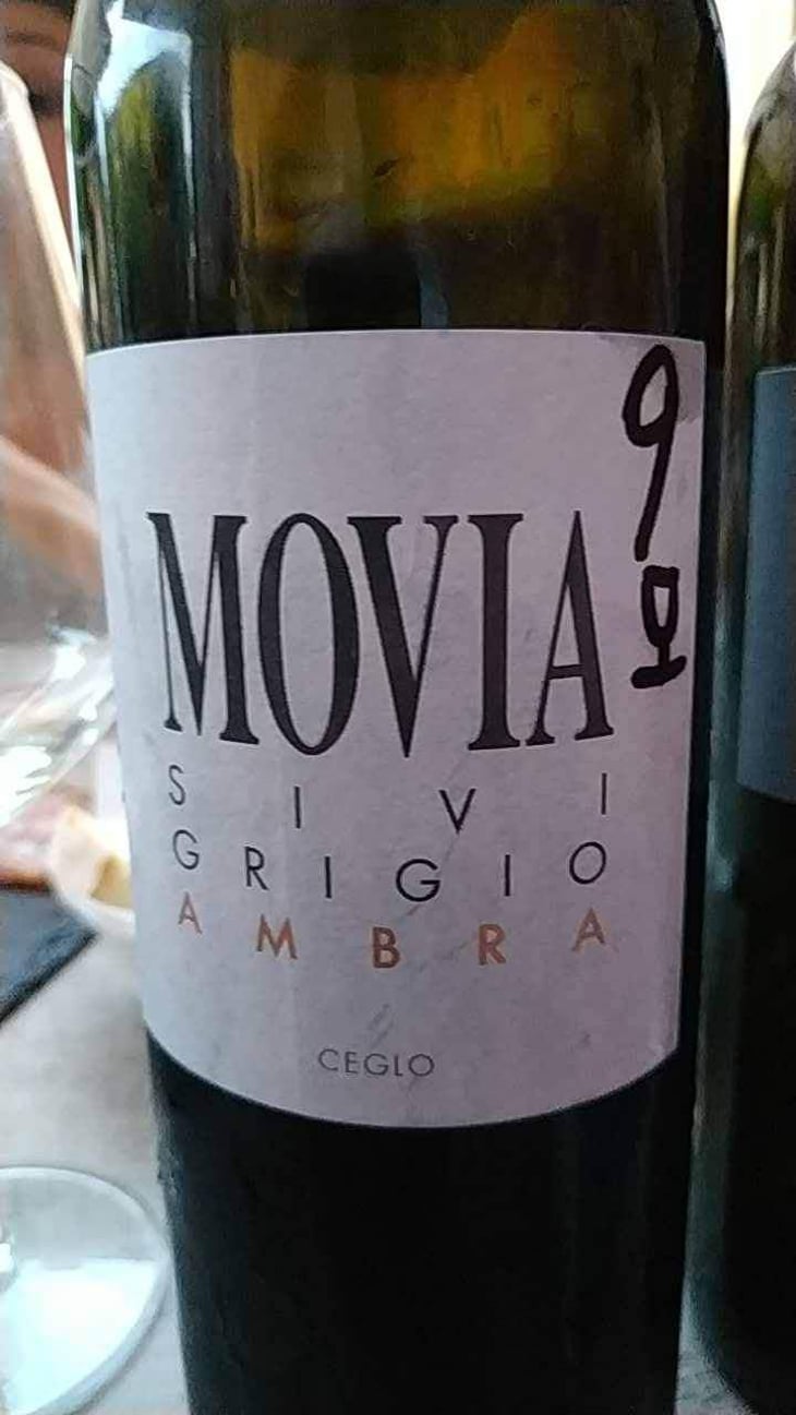Sivi Grigio Ambra - Movia - Aleš Kristančič 