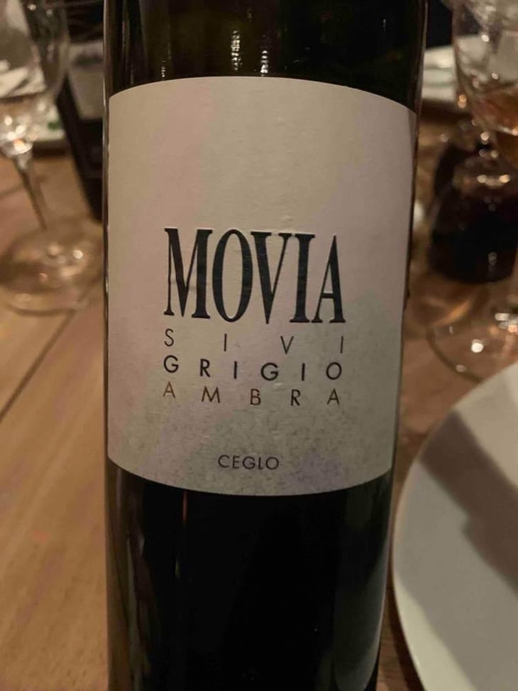 Sivi Grigio Ambra - Movia - Aleš Kristančič 