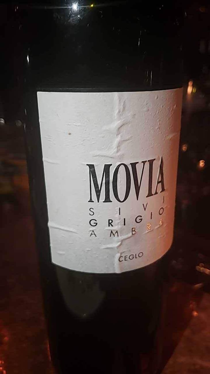 Sivi Grigio Ambra - Movia - Aleš Kristančič 