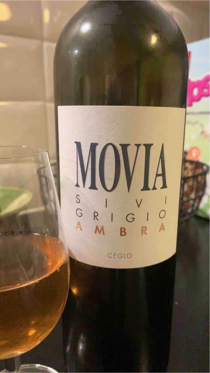 Sivi Grigio Ambra - Movia - Aleš Kristančič 