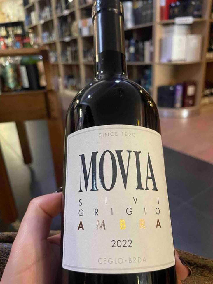 Sivi Grigio Ambra - Movia - Aleš Kristančič 