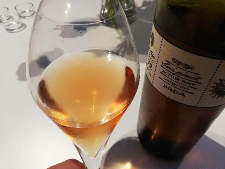 Sivi Pinot 006 - Kmetija Štekar - Janko Štekar 