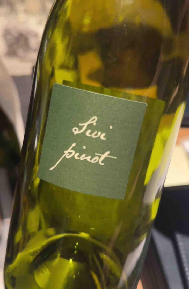 Sivi Pinot - Kabaj - Jean Michel Morel & Katya Kabaj 