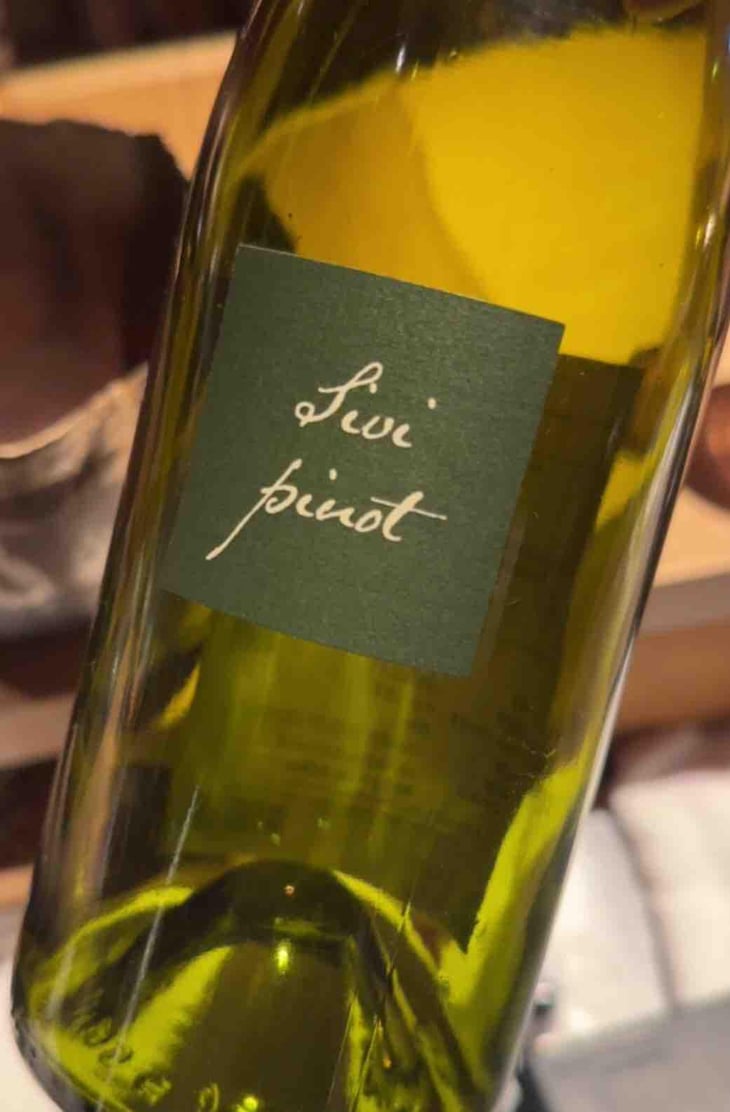 Sivi Pinot - Kabaj - Jean Michel Morel & Katya Kabaj 