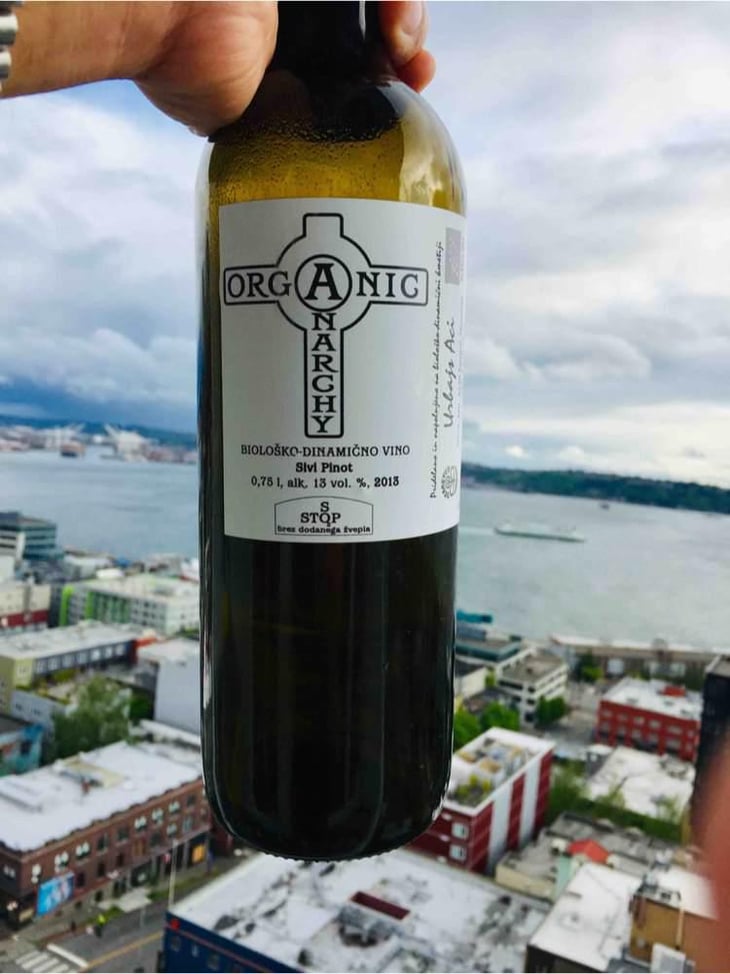 Sivi Pinot - Organic Anarchy - Aci Urbajs 