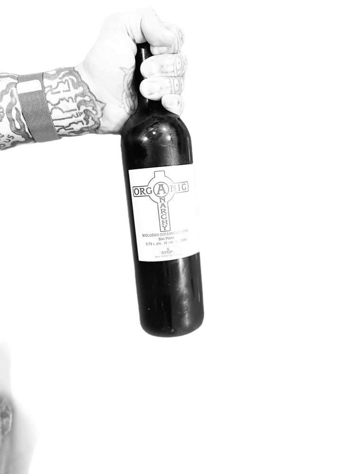 Sivi Pinot - Organic Anarchy - Aci Urbajs 