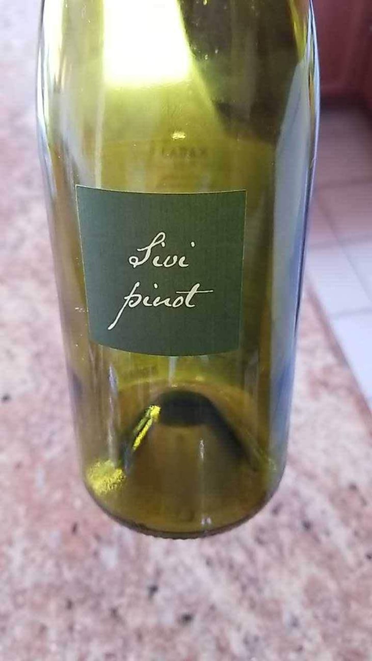 Sivi Pinot - Kabaj - Jean Michel Morel & Katya Kabaj 