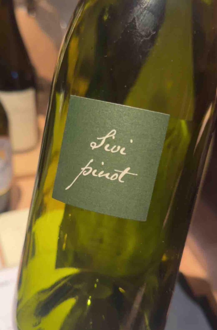 Sivi Pinot - Kabaj - Jean Michel Morel & Katya Kabaj 
