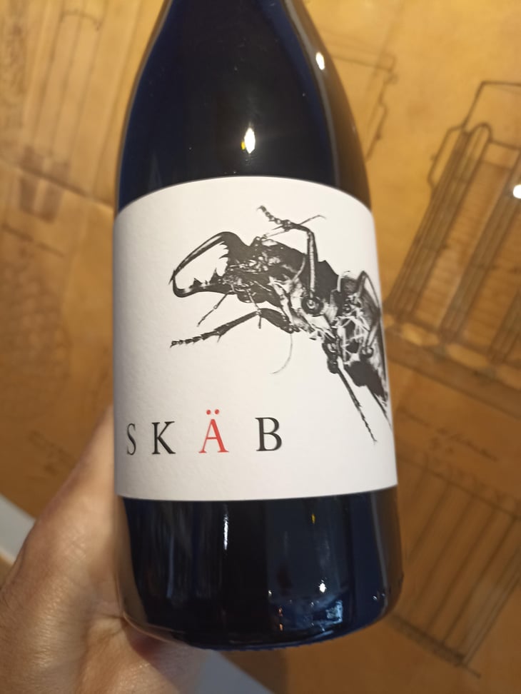 Skab - Les Chiens d'la Casse - Jeremy Razafintsalama -2020